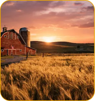 farm
